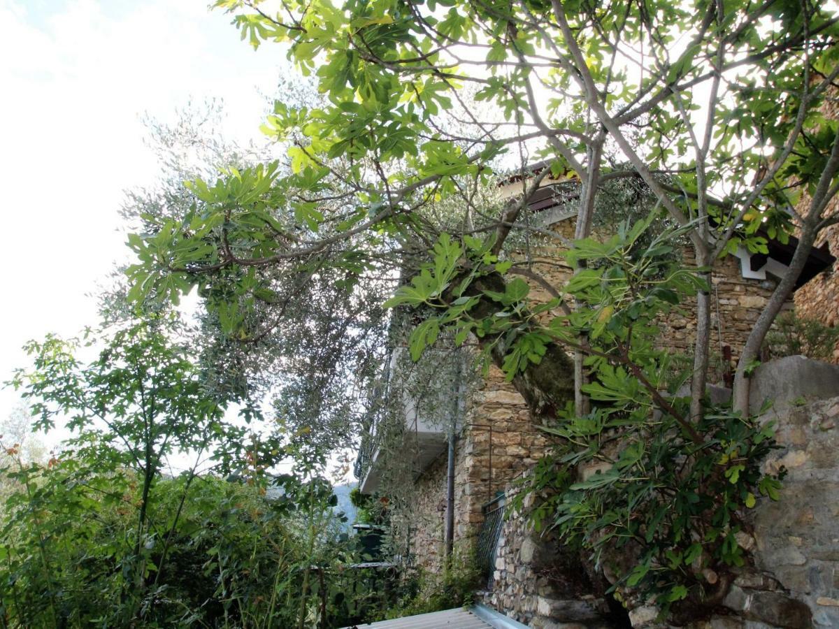 Holiday Home Mes Mas By Interhome Stellanello Ngoại thất bức ảnh
